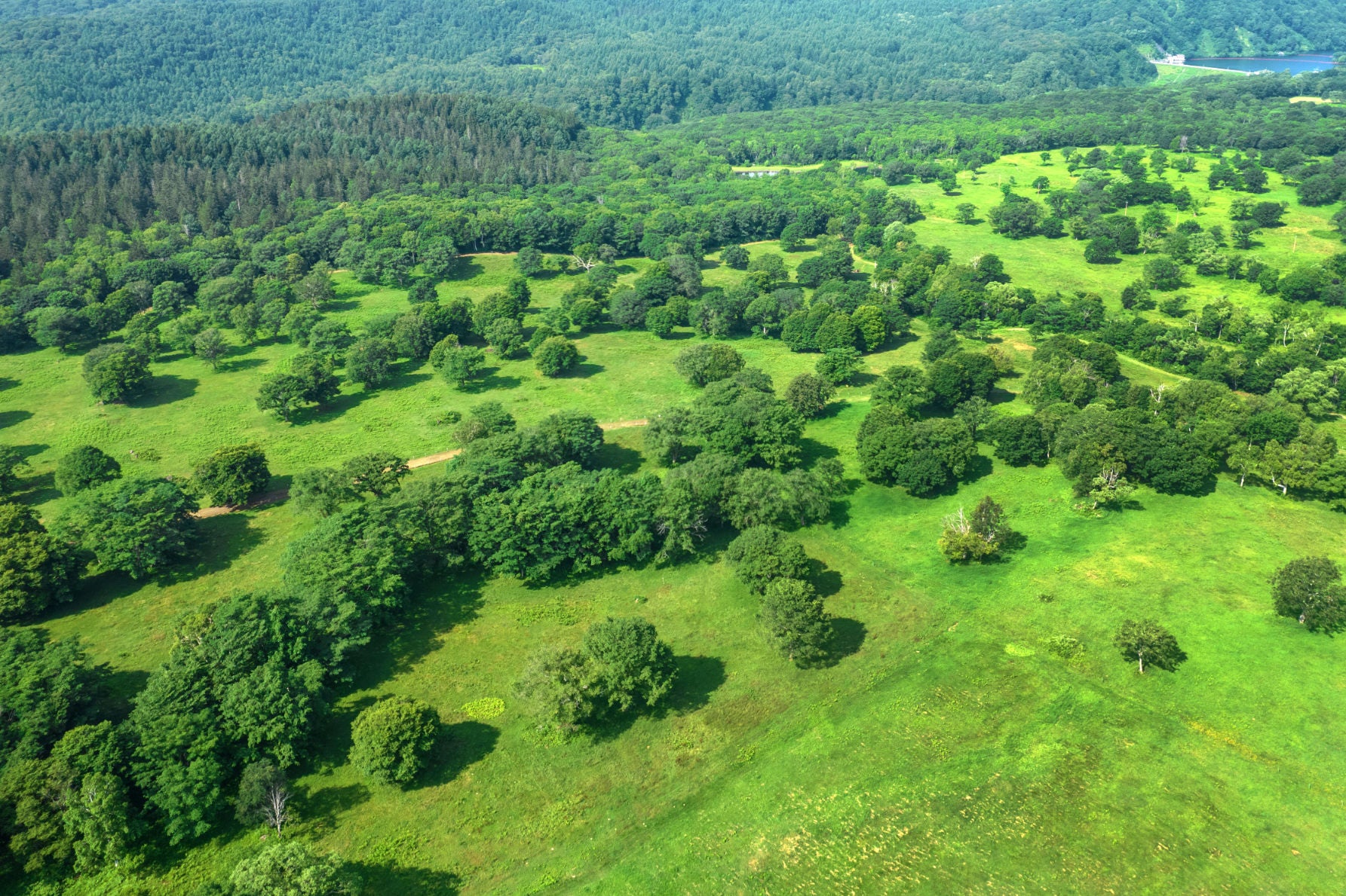 ALT 高原らしい景色が広がる笹ヶ峰一帯は盆地形状になっている