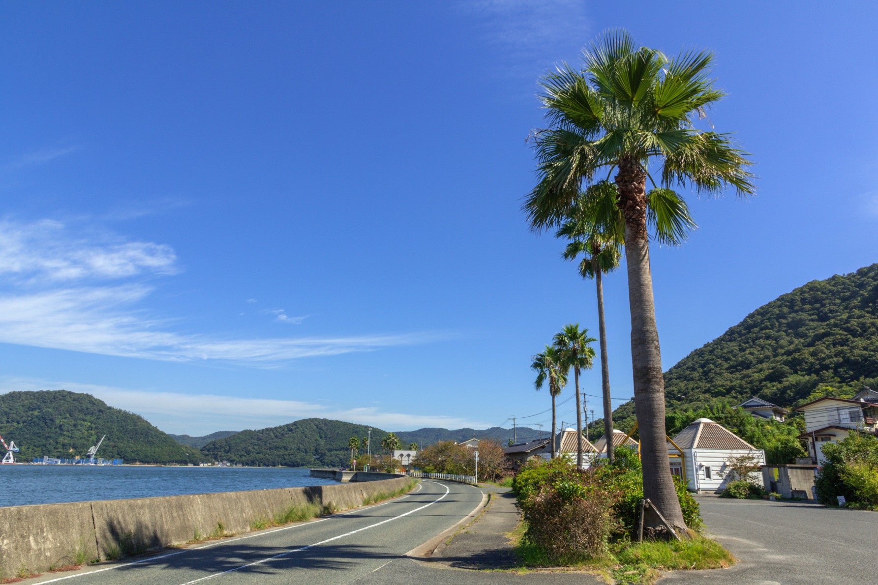 ALT 「瀬戸内のリゾート」のような、高く伸びたヤシの木と抜けるような青空、そして緩やかなカーブを描く道が、どこか南国の離島を走っているような開放感がある