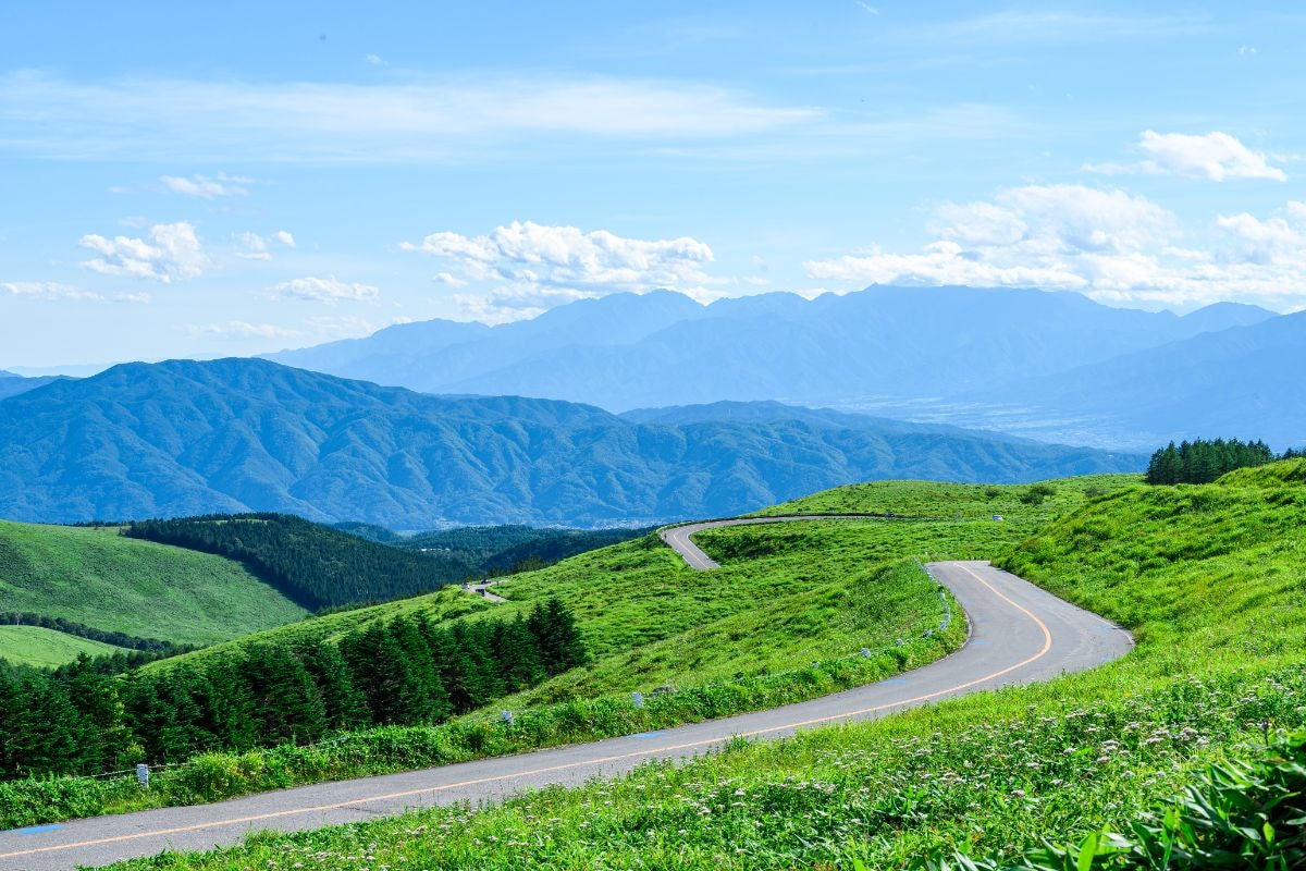 ビーナスラインの風景