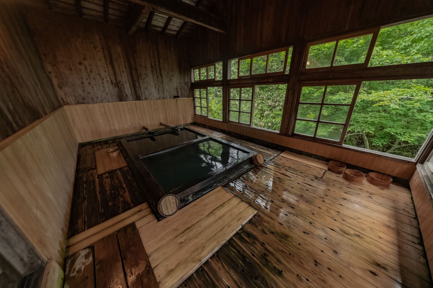 窓の外の緑に癒やされる