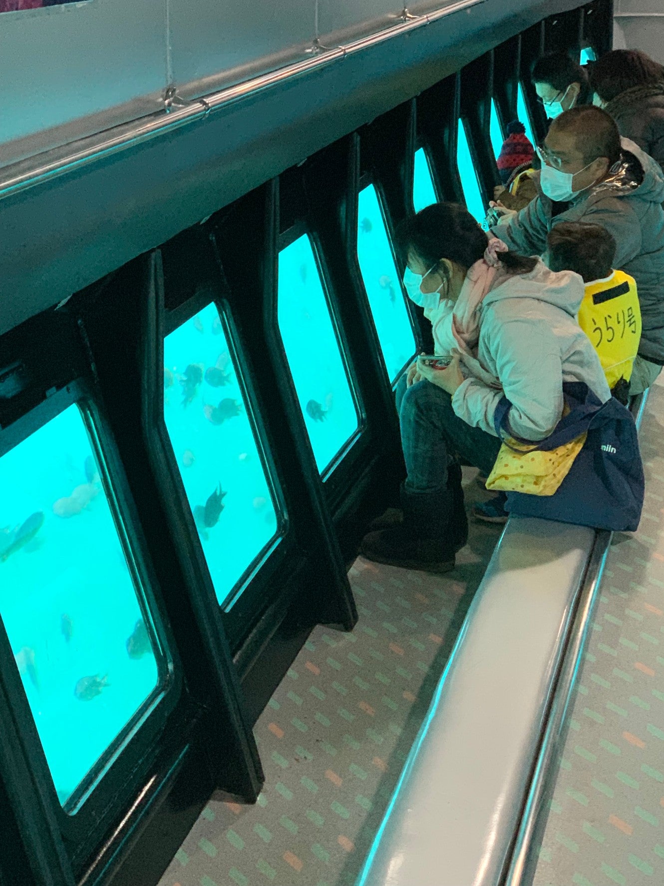 「にじいろさかな号」は船内から海中の魚を観察することができる