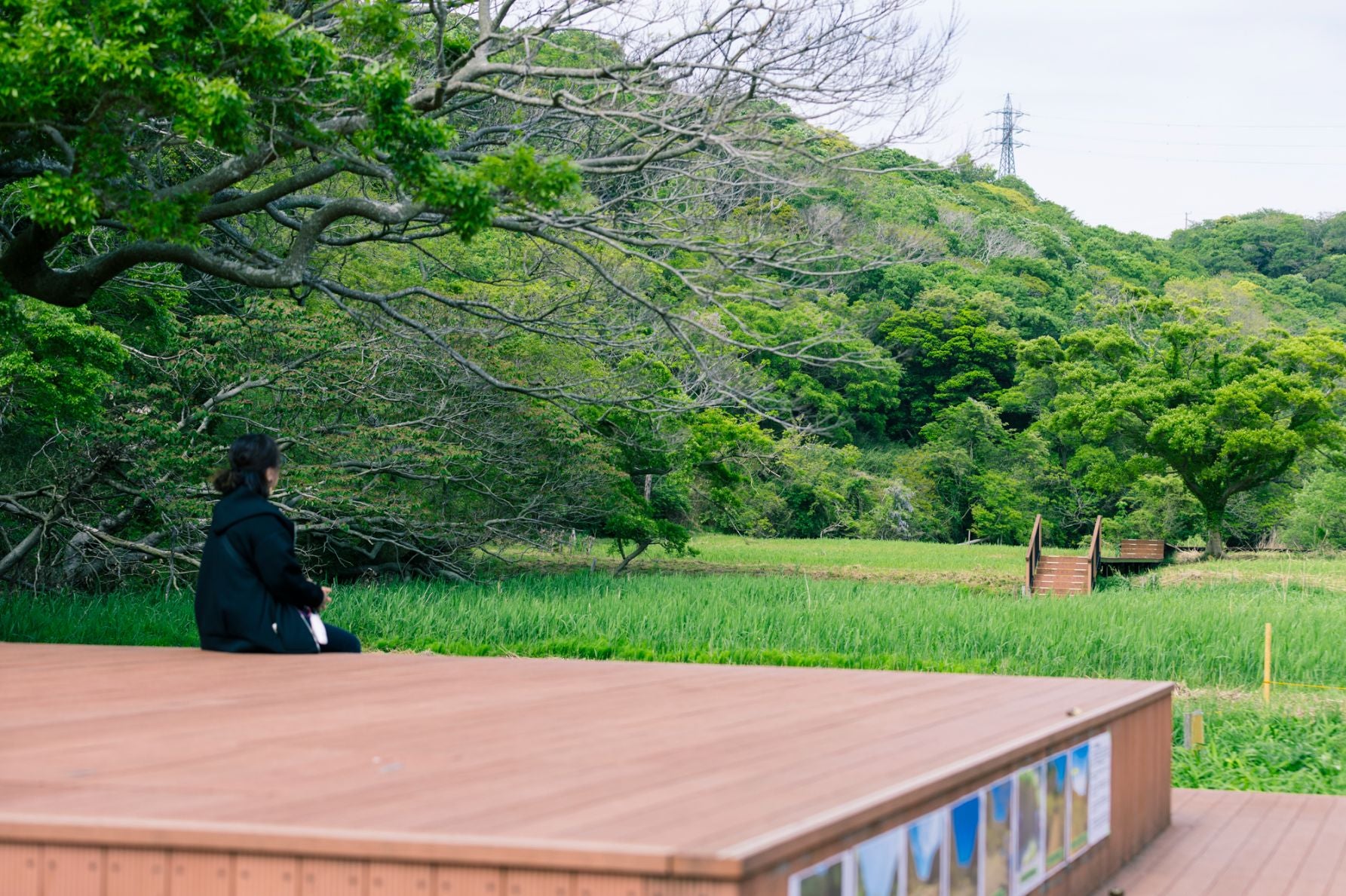 小網代の森の「えのきテラス」風景