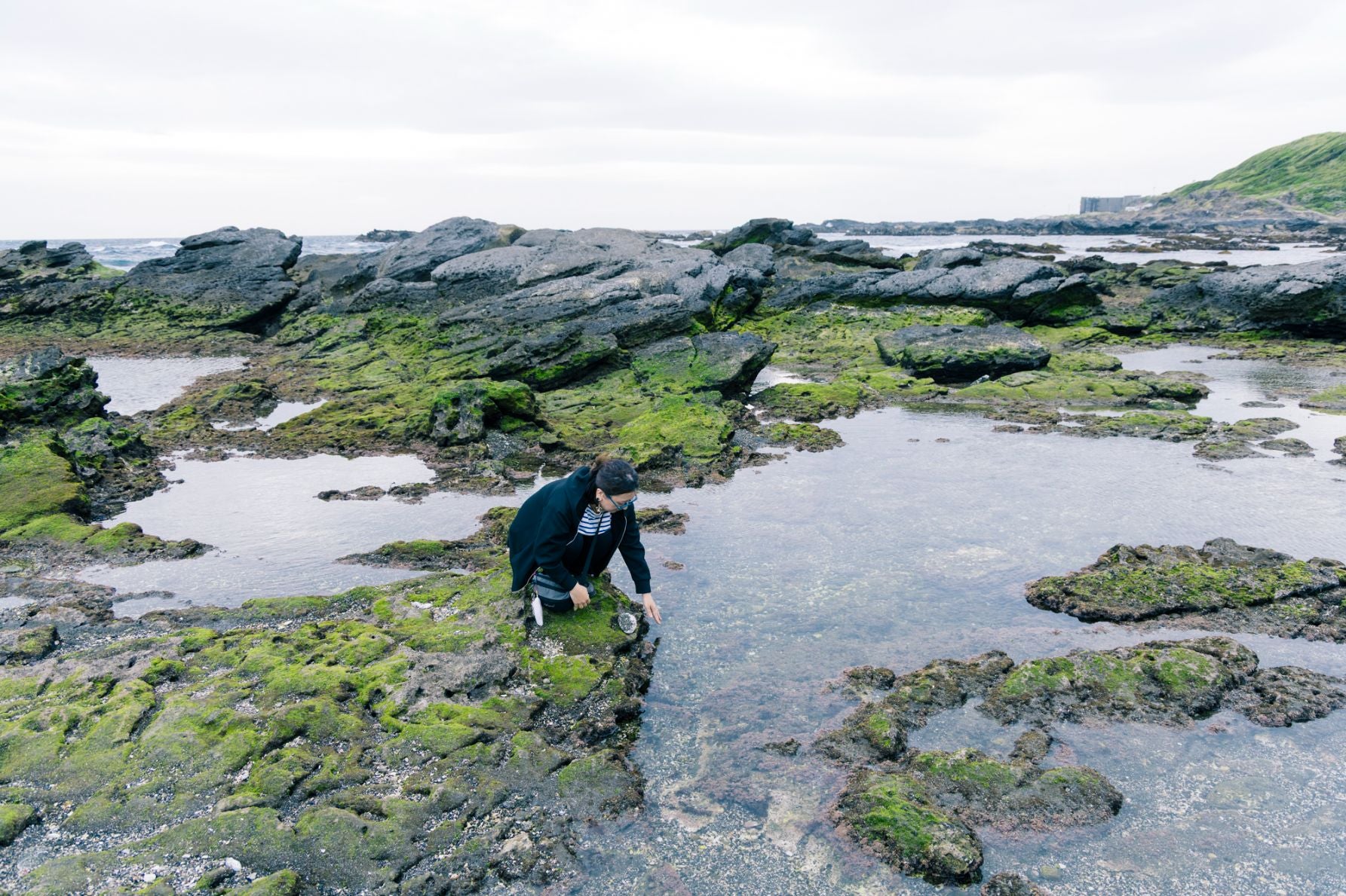 透明度の高い城ヶ島の海水と、岩場を泳ぐ小さな魚たちが観察できる波打ち際