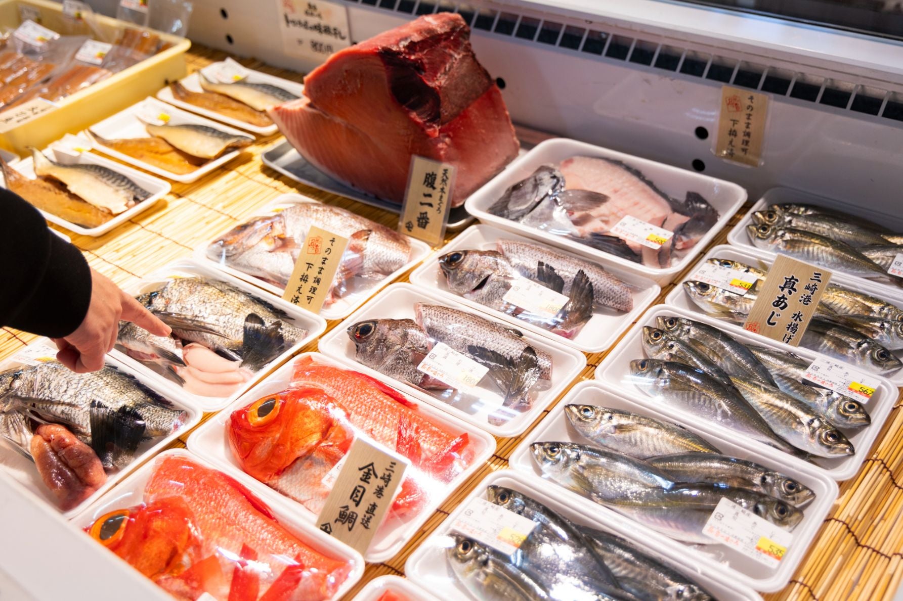 うらりマルシェ1階の「さかな館」に並ぶ、高品質な三崎産の鮮魚