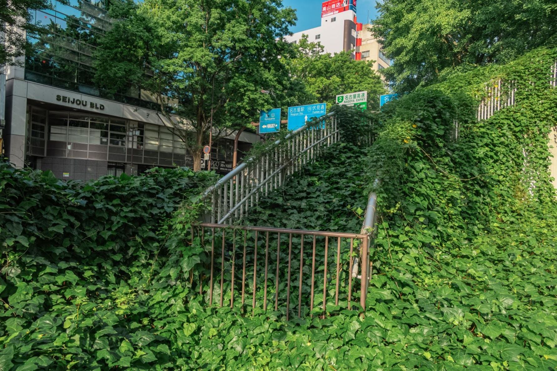 完全に緑に覆いつくされている