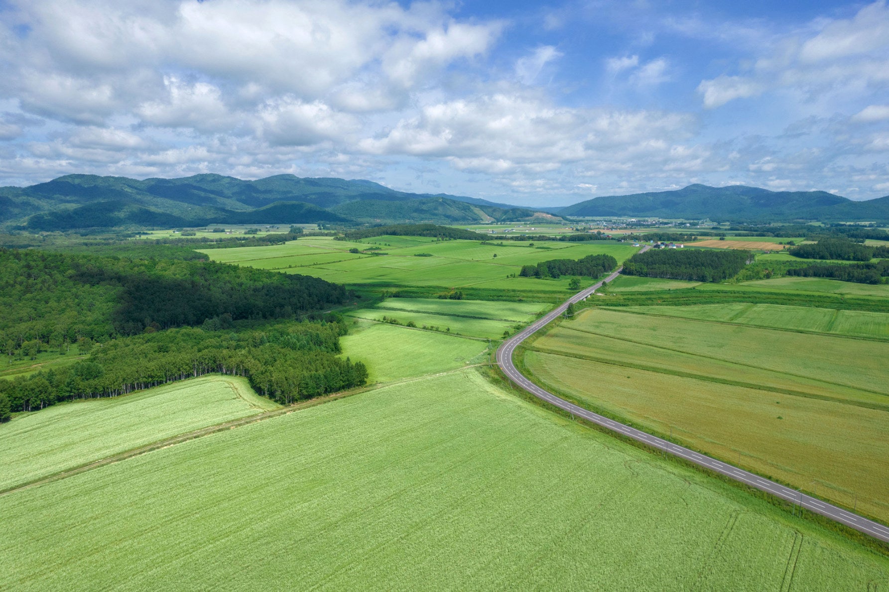 国道275号幌加内そばの花の道（北海道）の空撮写真