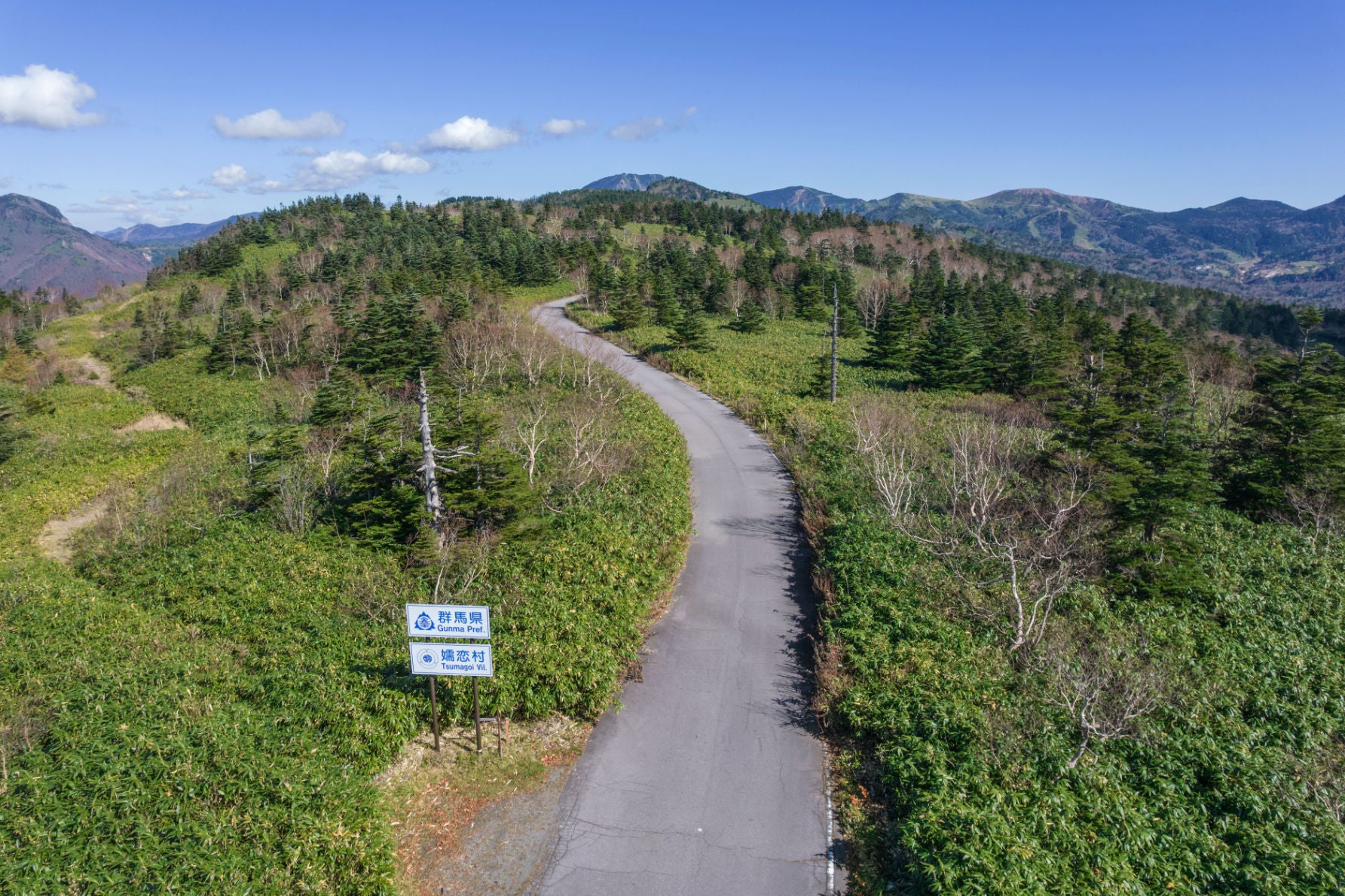 ALT 「群馬県嬬恋（つまごい）村」の標識が立つ、まさに県境の尾根伝いを行く高山帯特有のセクション。ここから毛無峠への分岐へと道は続く