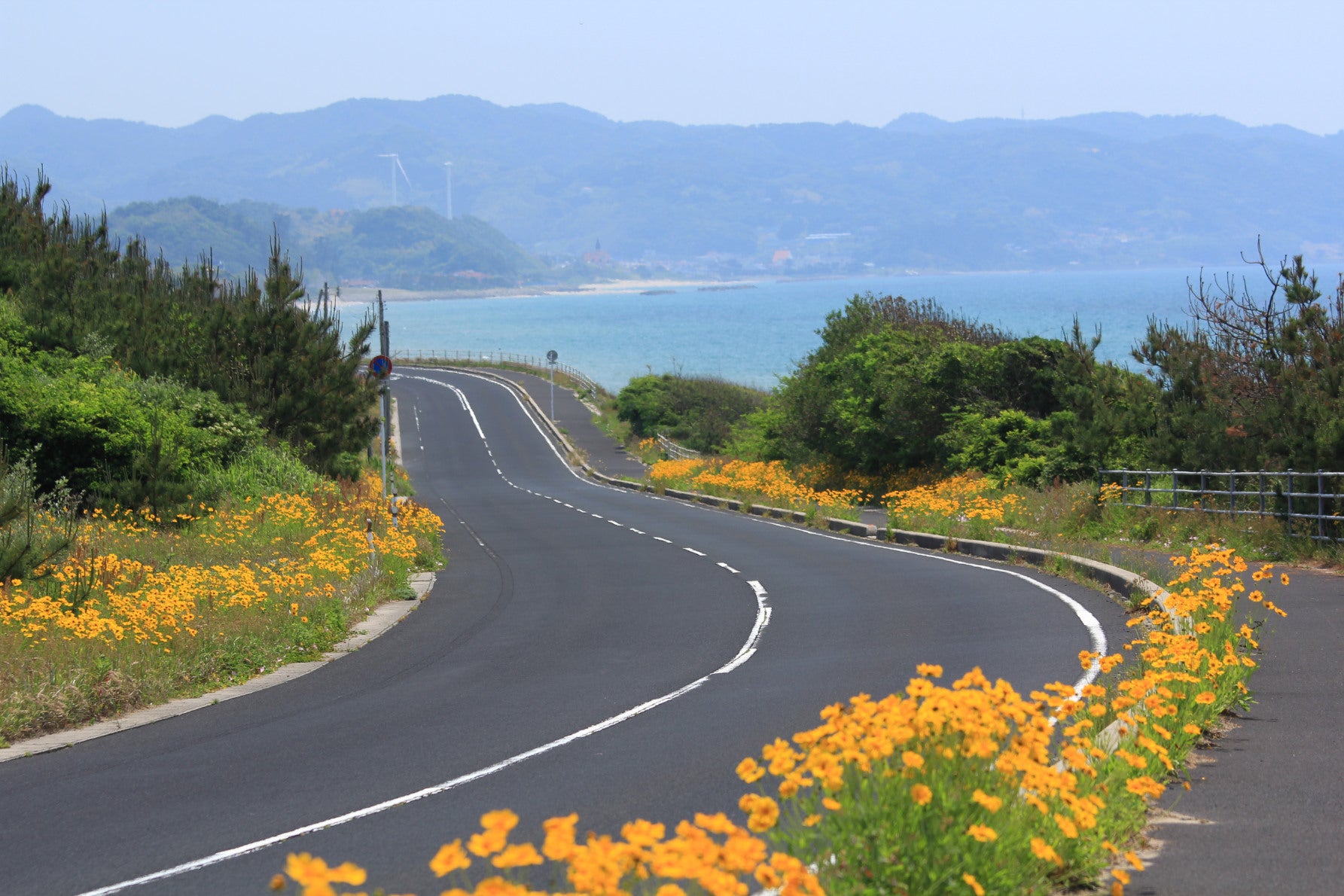 ALT 季節によって、道路脇には黄色やオレンジの鮮やかな花々が咲き誇る