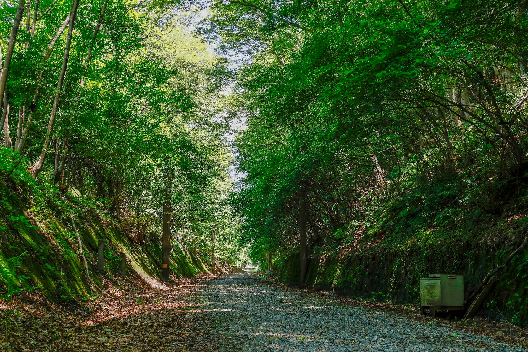 線路脇1