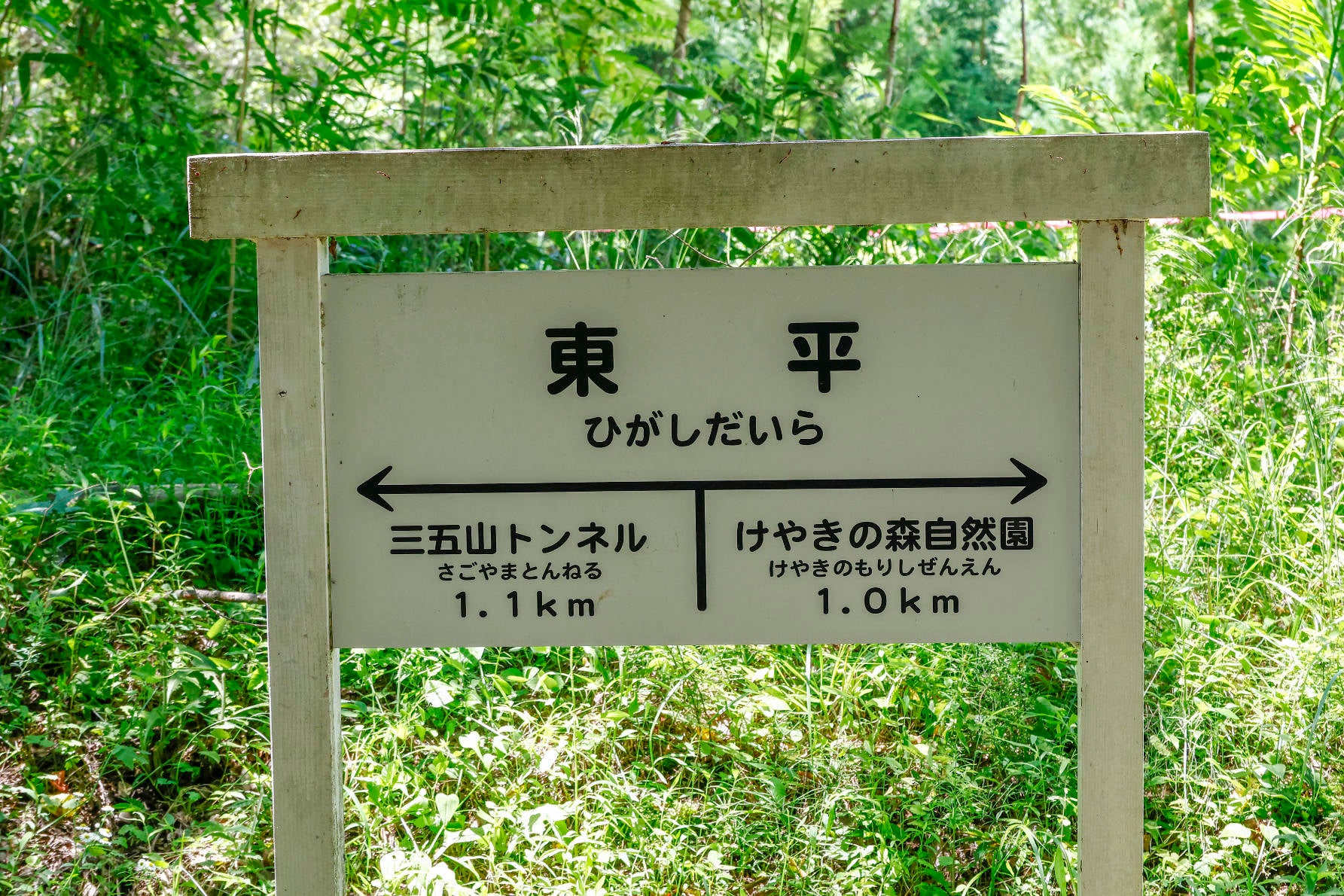遊歩道3