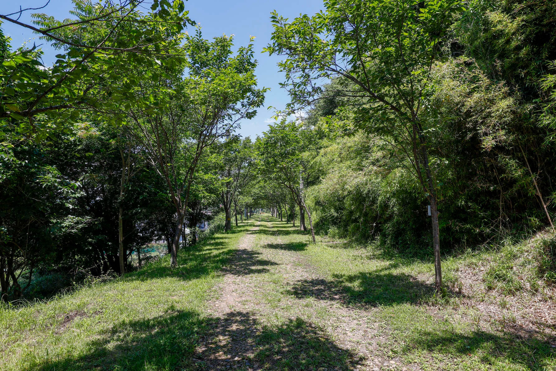 旧国鉄篠ノ井線廃線敷遊歩道4