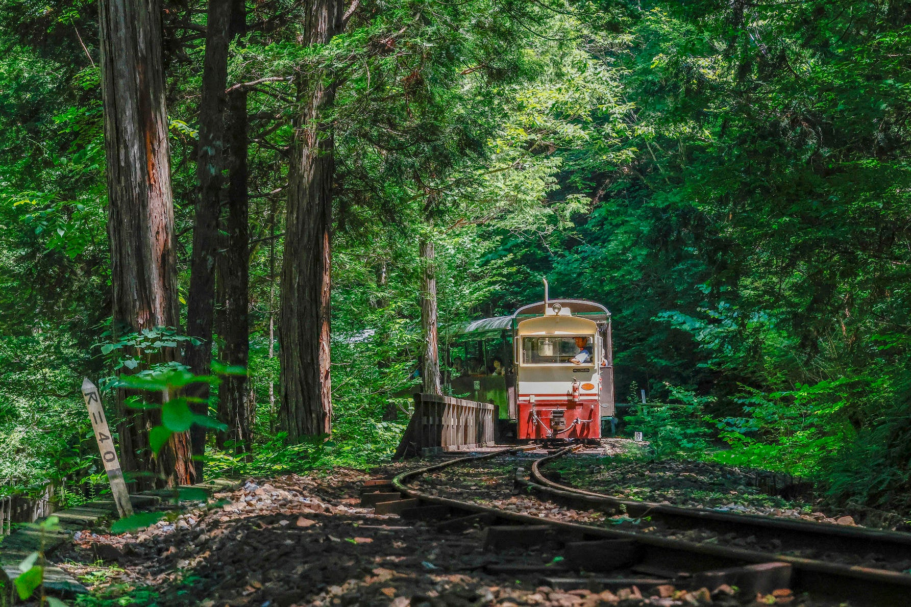 赤沢森林鉄道1