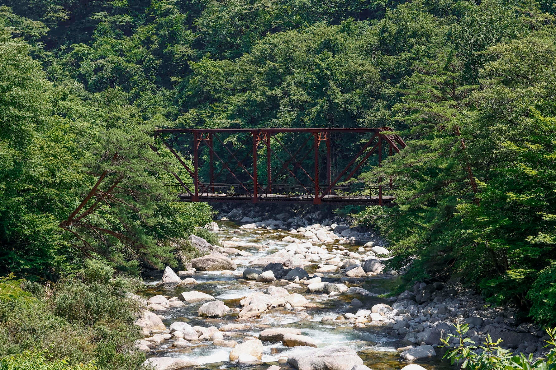 木曽の深い山々に、かつて森林鉄道を支えた小野田橋梁（きょうりょう）が静かにたたずんでいる。緑豊かな自然と、時の流れを感じさせる武骨な鉄のコントラストが美しい