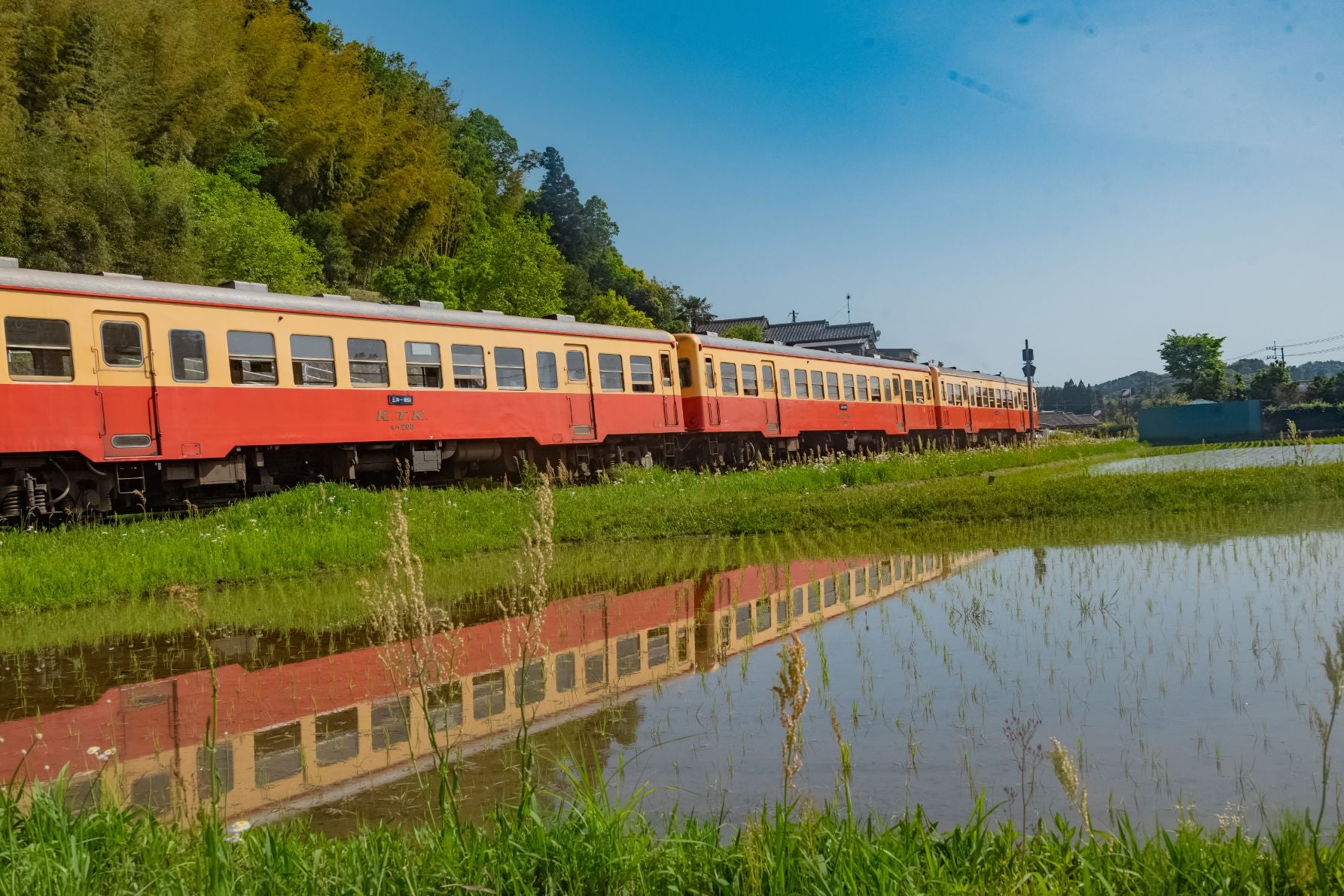 水鏡に車体を映して走る列車