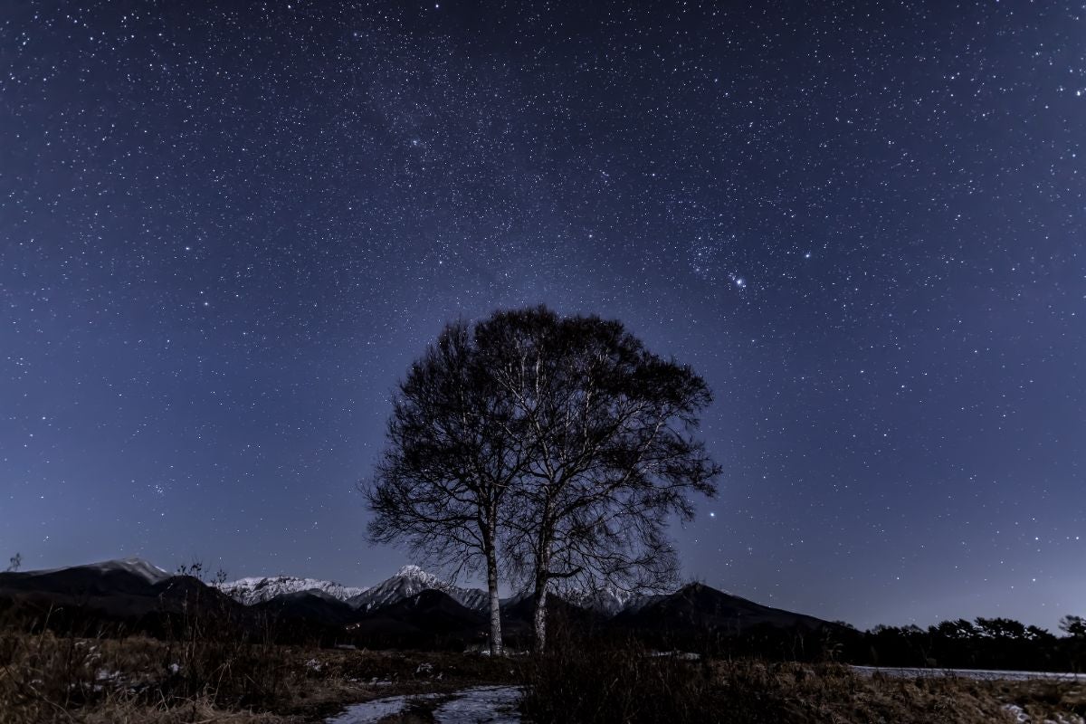 満天の星空を背景にした、夜の雪山（独立峰）と手前に広がる白樺などの林の風景