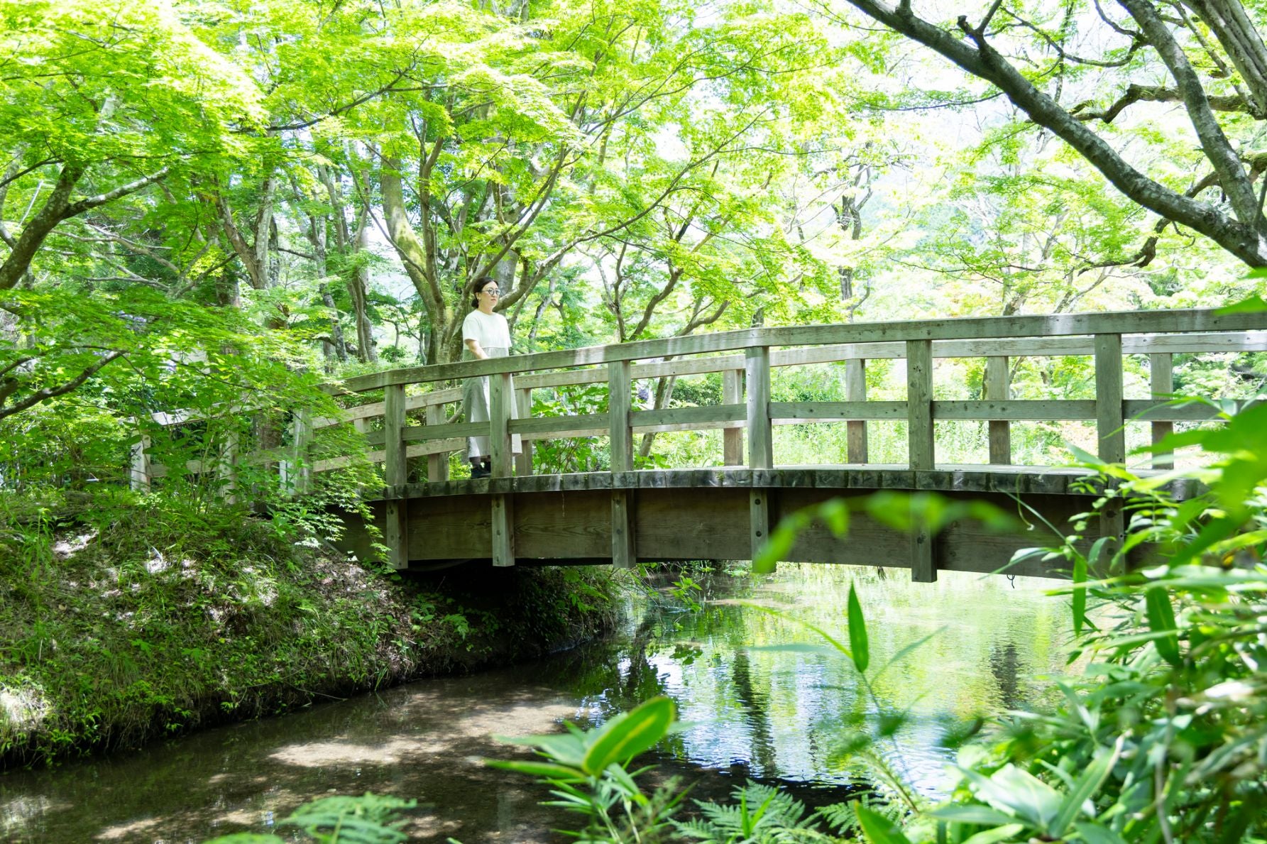 鍵屋周辺は緑が多く、趣深い橋や散策路が多い