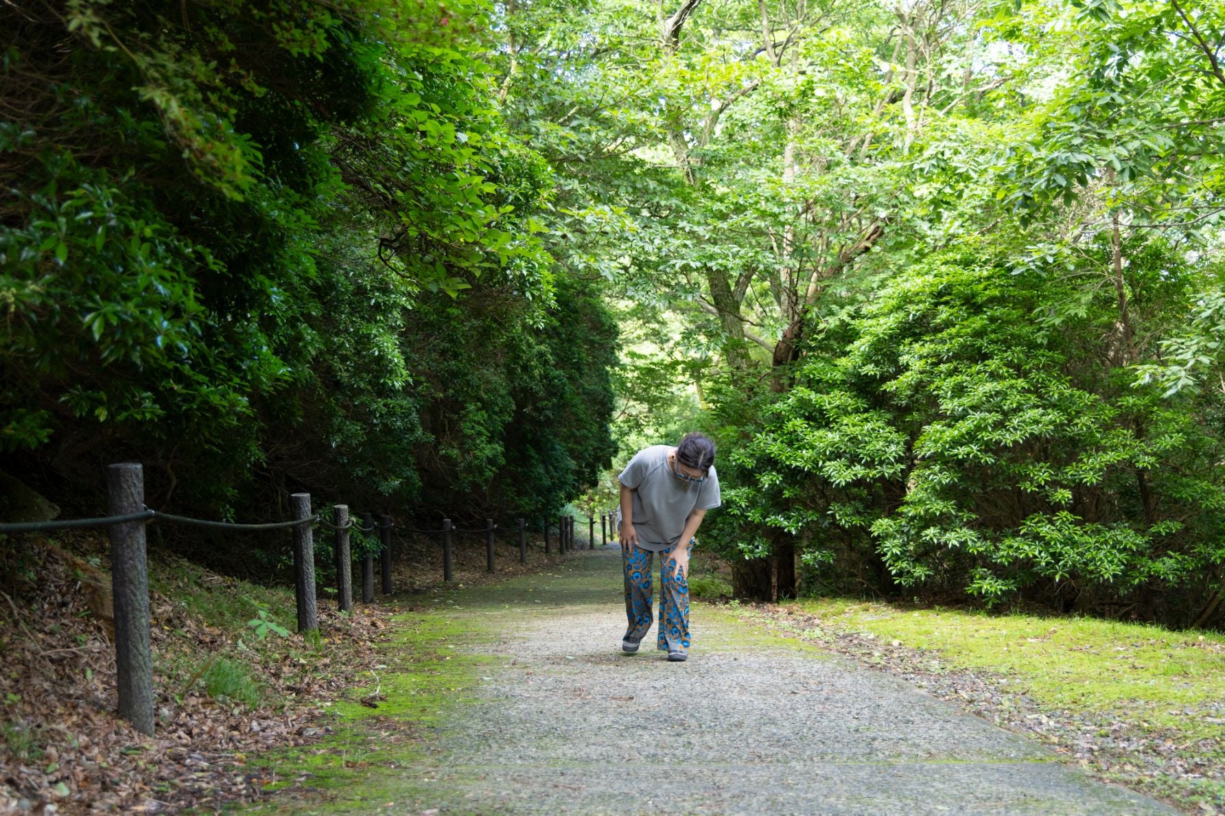 塚原温泉近くの伽藍岳火口へ続く遊歩道を歩く様子