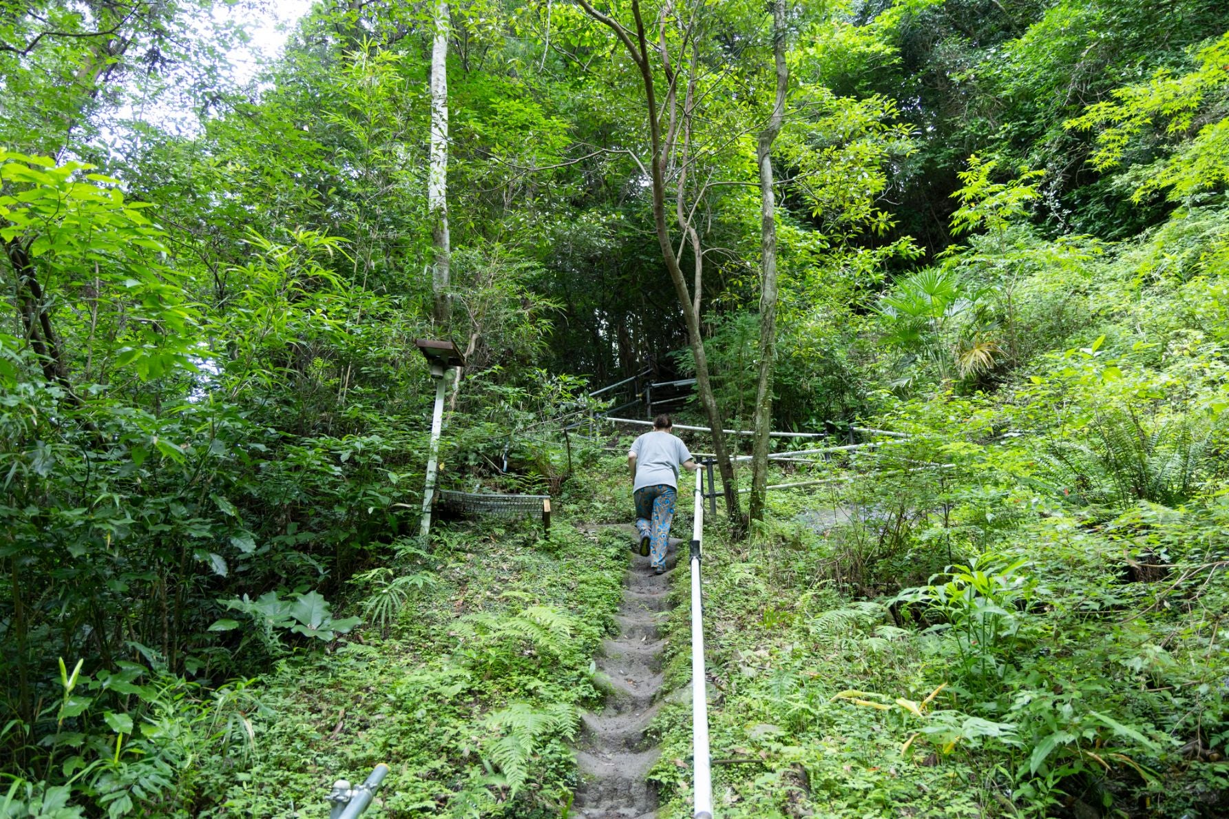 龍昇の滝までの道。坂が多い