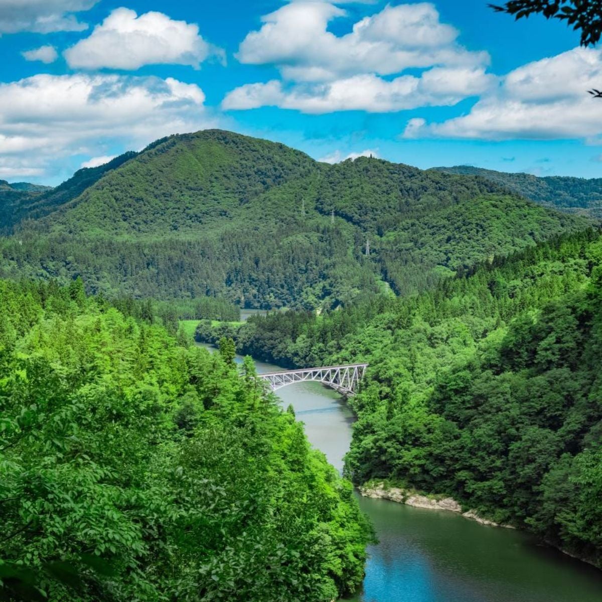 第一只見川橋梁の遠景