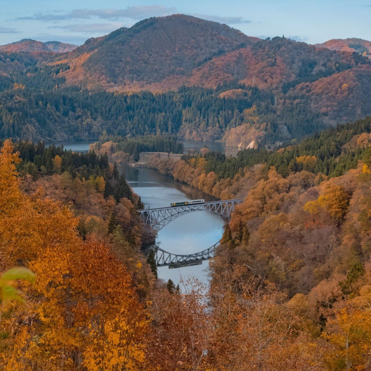 紅葉の季節