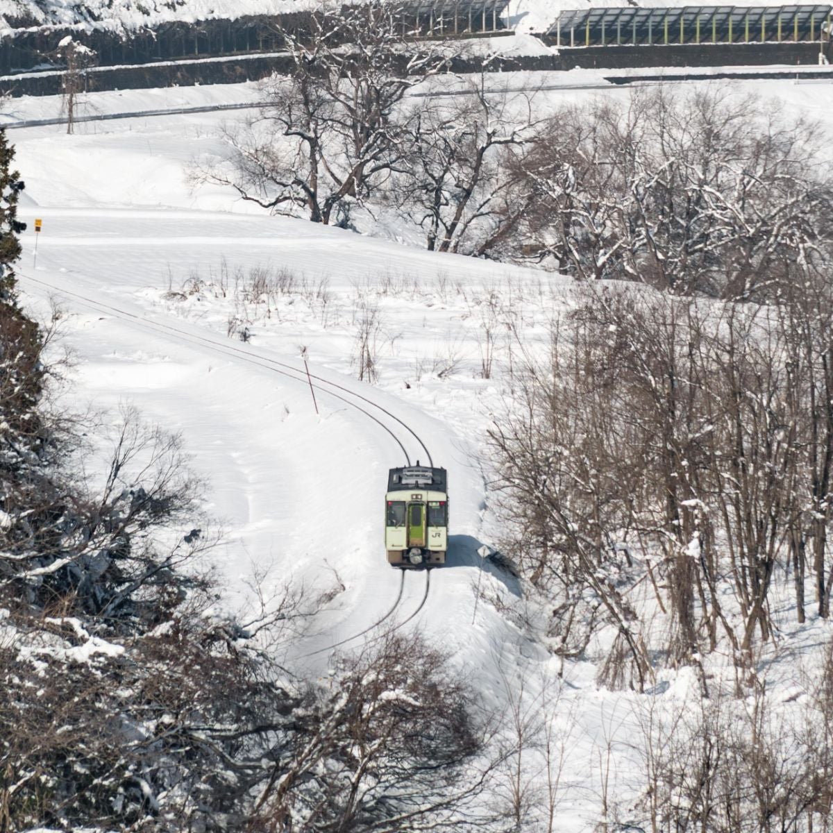 白い雪原の中から姿を現す飯山線 