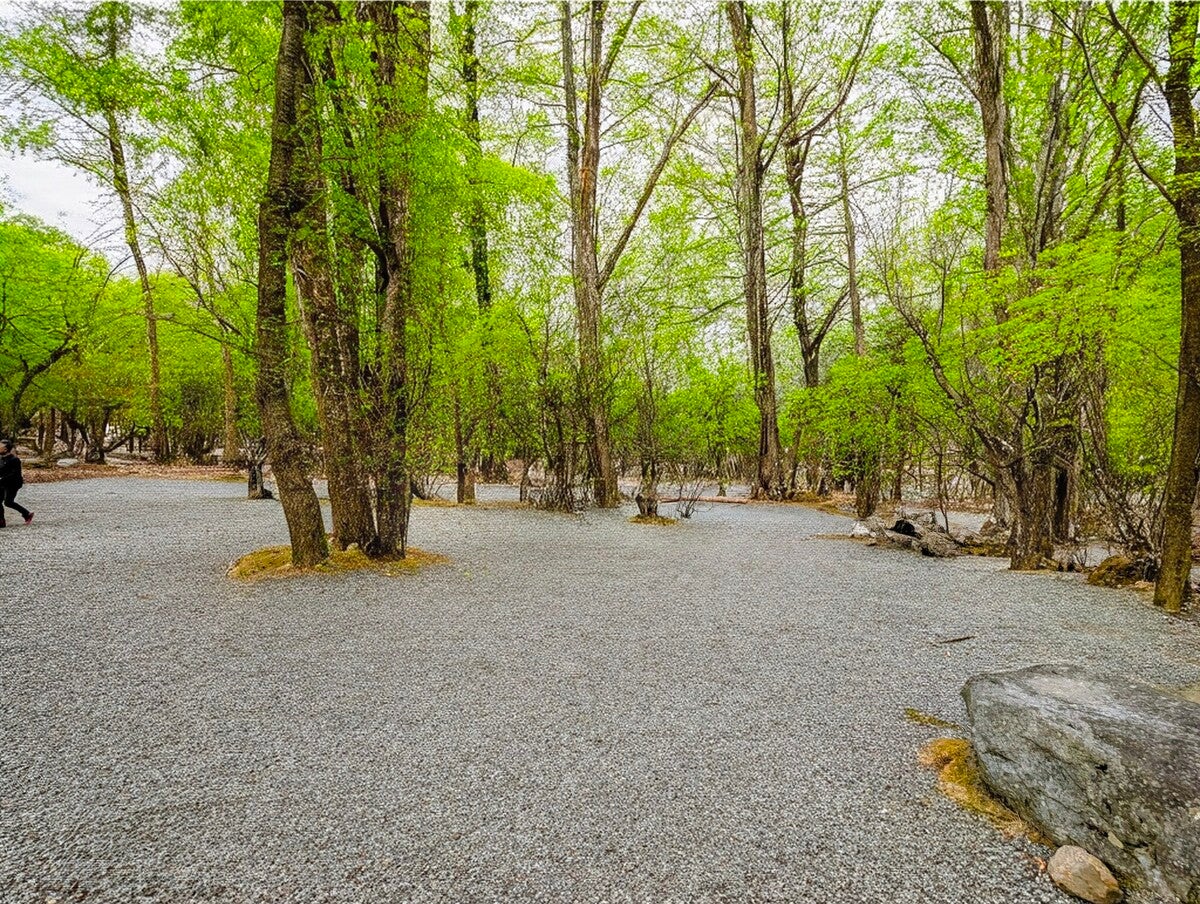 RVパークの林間サイトの風景