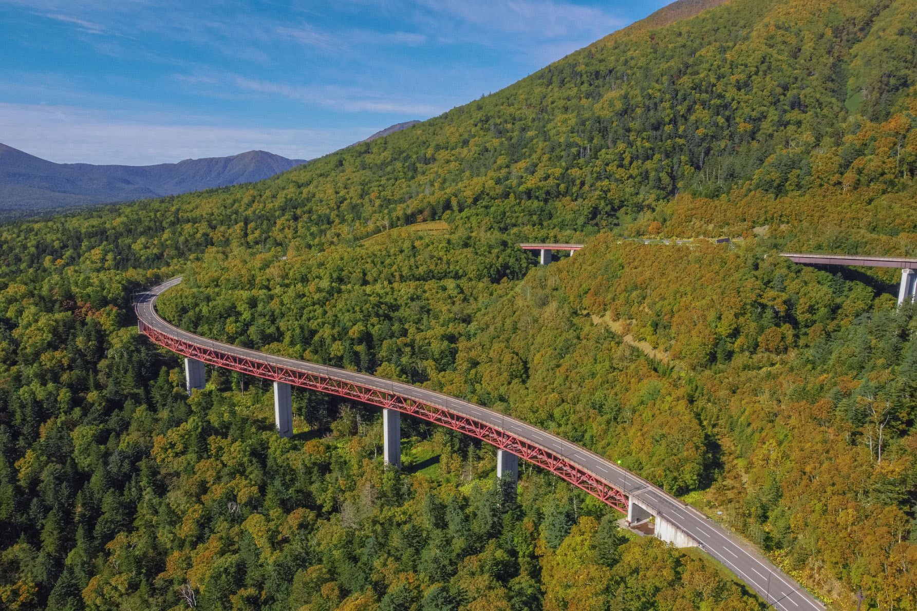 広大な原生林の中を走る国道273号