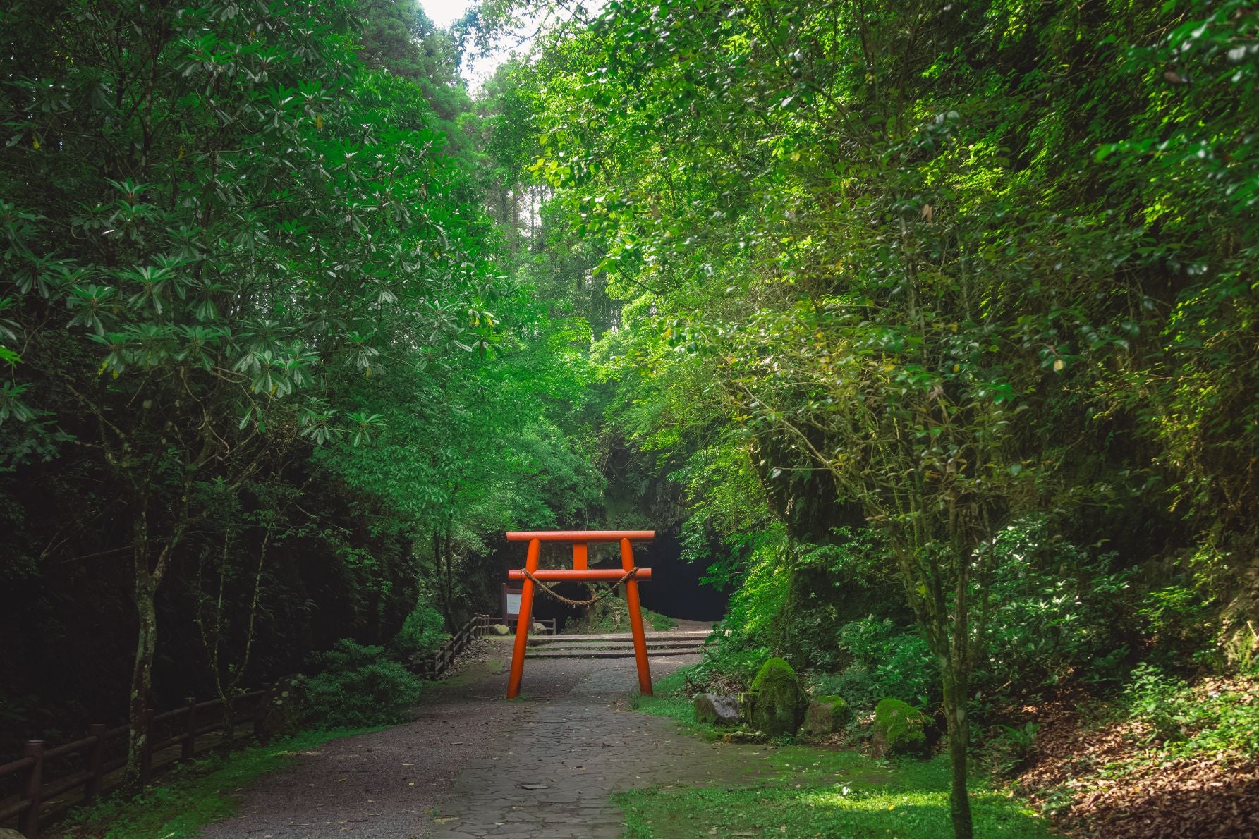 鮮やかな朱色の鳥居が見えてきた