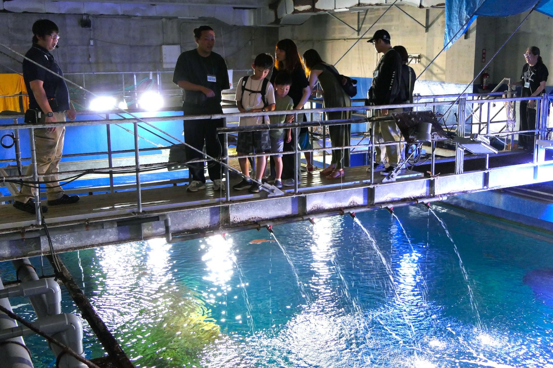 男鹿の海大水槽を上から見学するバックヤードツアー参加者