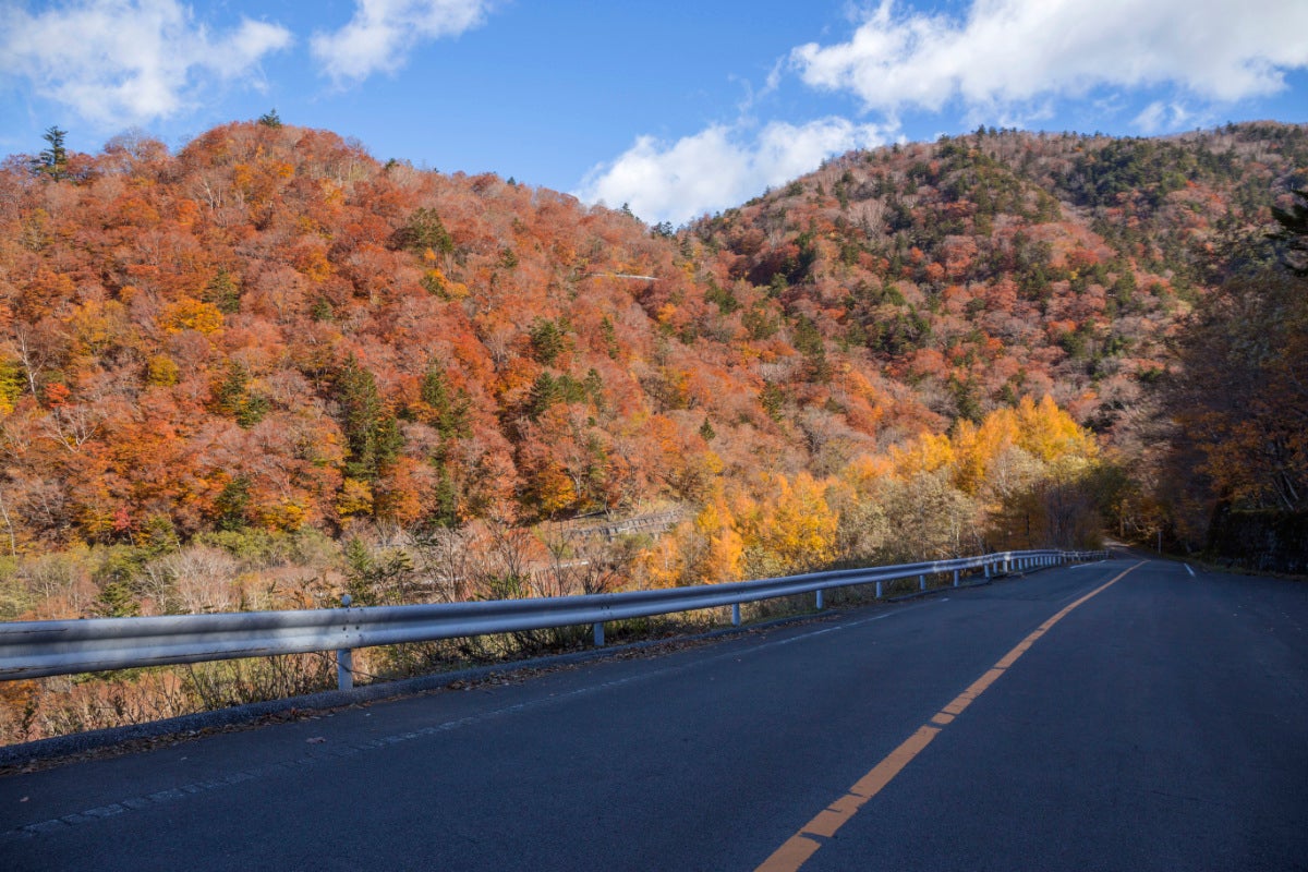紅葉に彩られた山肌を走る中禅寺湖スカイライン