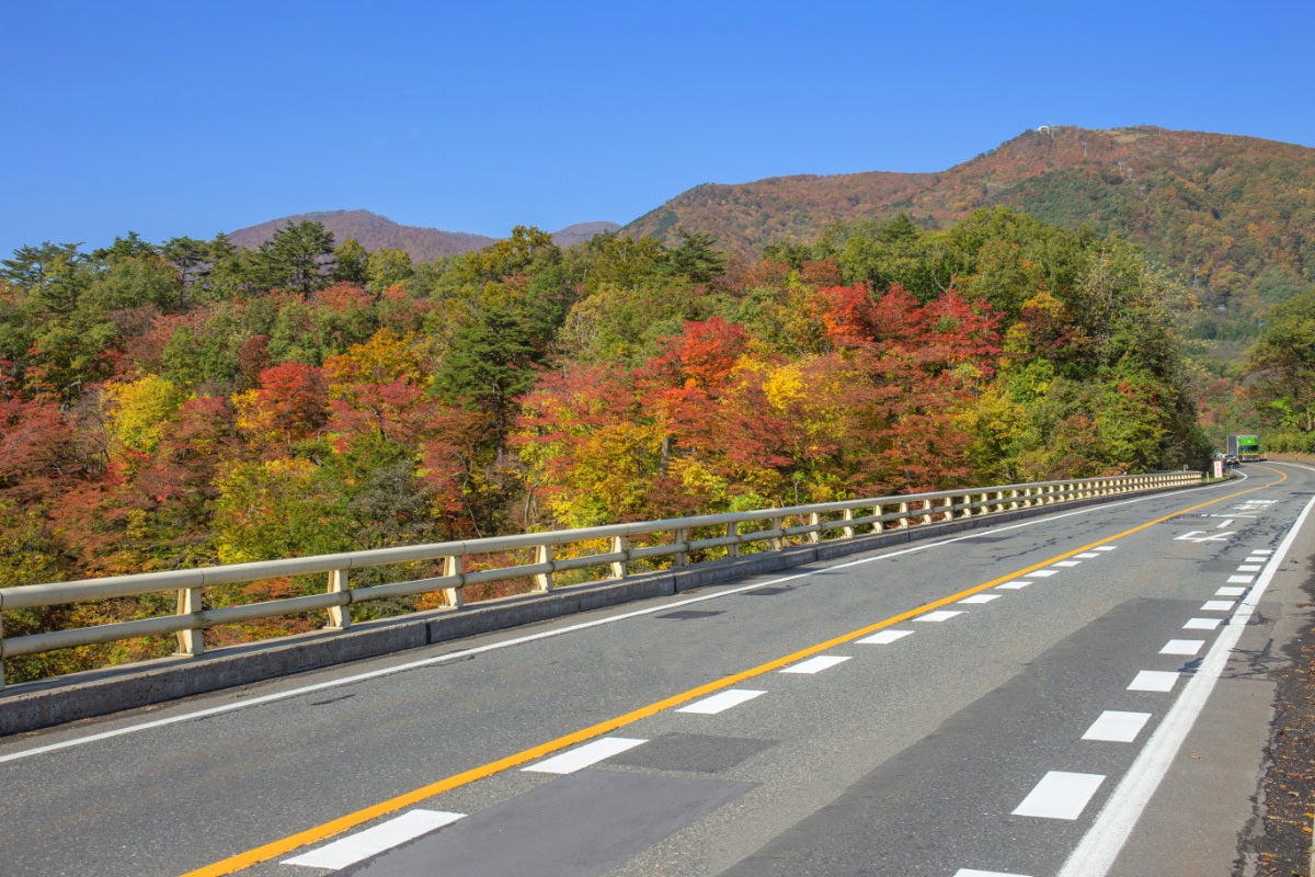 紅葉に彩られた国道47号。道路の両側を赤や黄色の木々が覆っている
