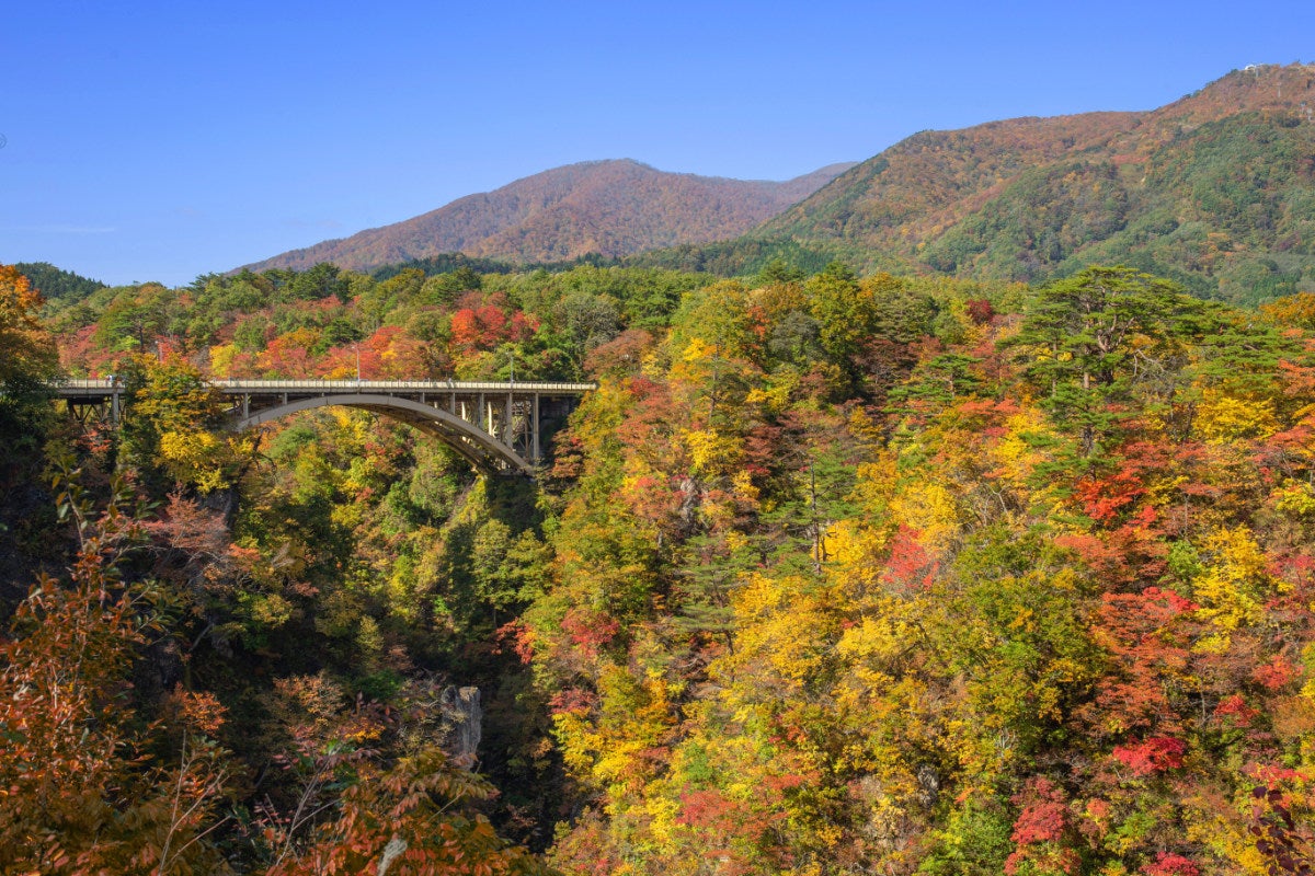 鳴子峡の大深沢橋。白いアーチ橋が紅葉に彩られた深い谷に架かっている