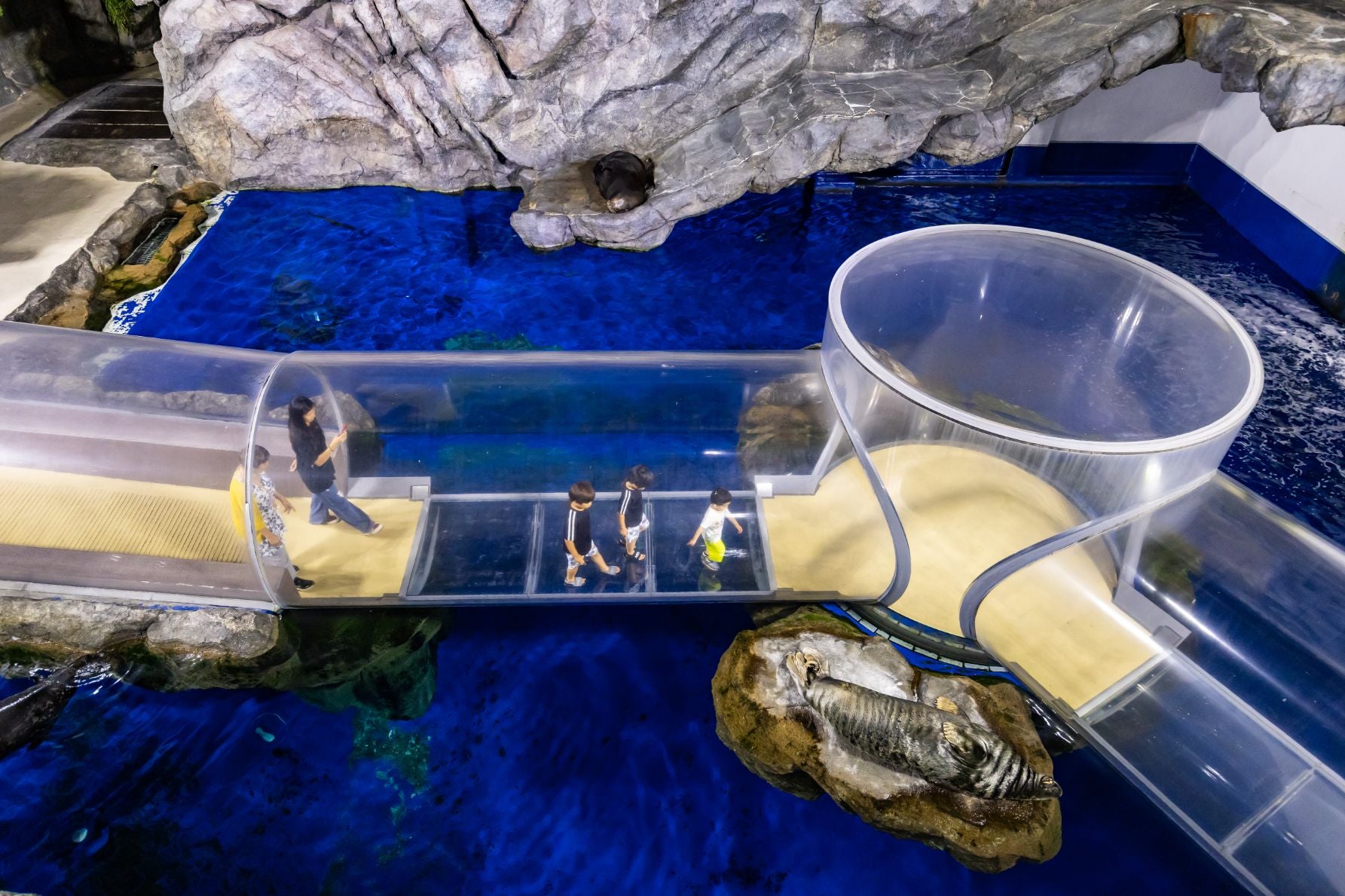 夜の鳥羽水族館の「海獣の王国」