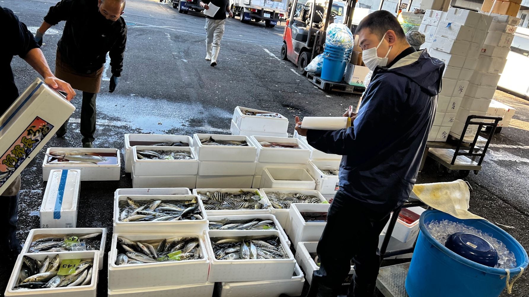 小田原で競り落とした魚は仕分けて各店舗へ 