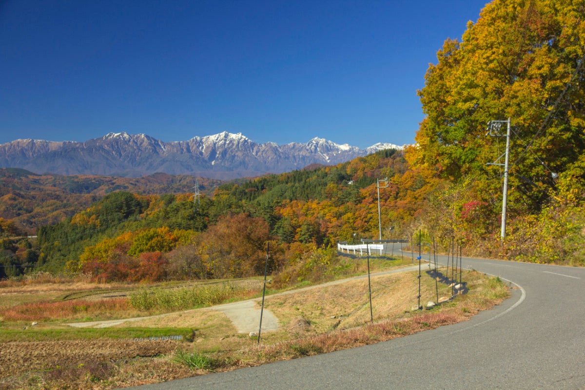 見渡す限りの紅葉に包まれた「原田沖の棚田」