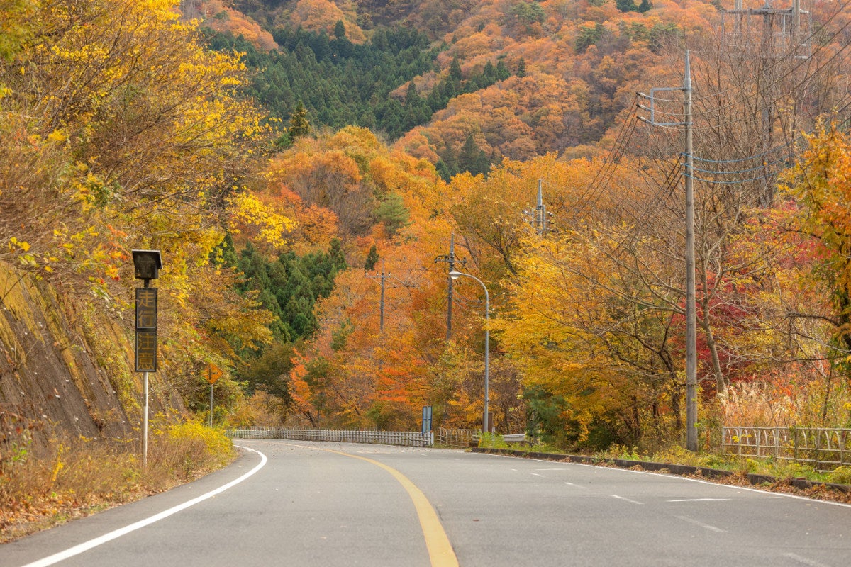 紅葉した木々に囲まれる国道461号の花貫渓谷