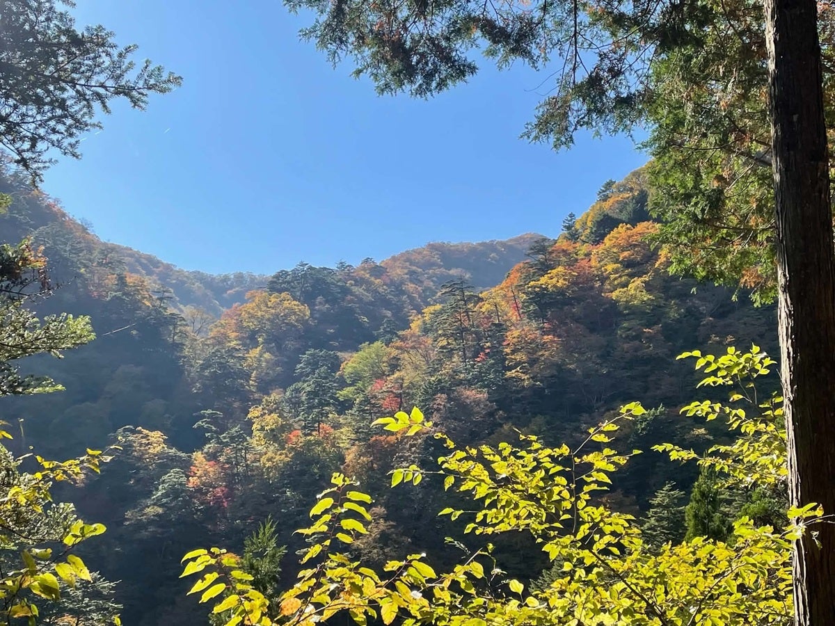 檜原村の秋の画像