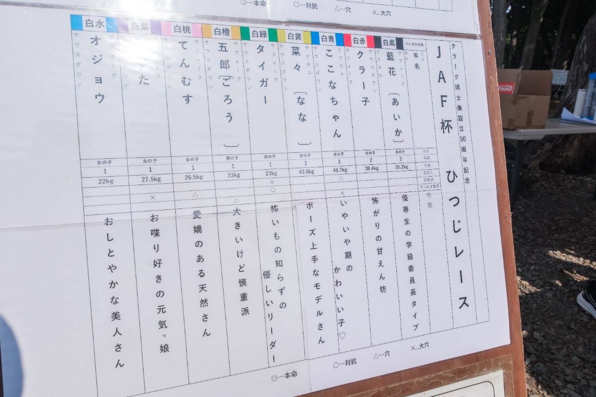 ひつじレース受付の様子