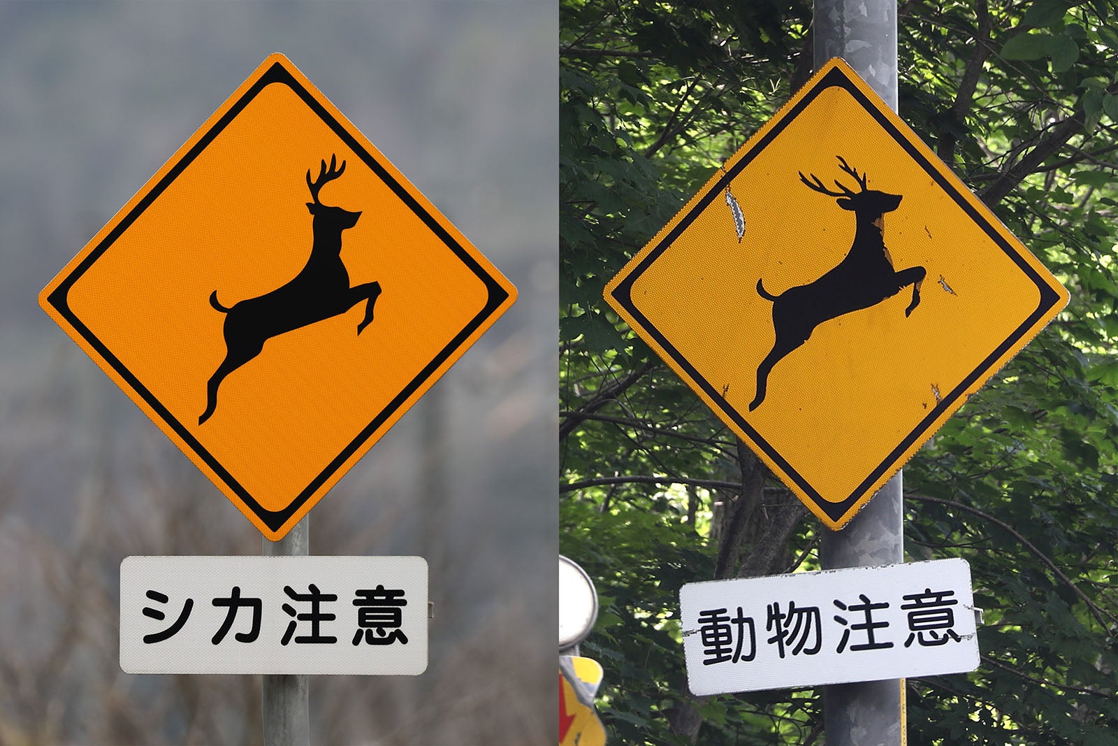 動物注意の標識として一般的な、シカの標識