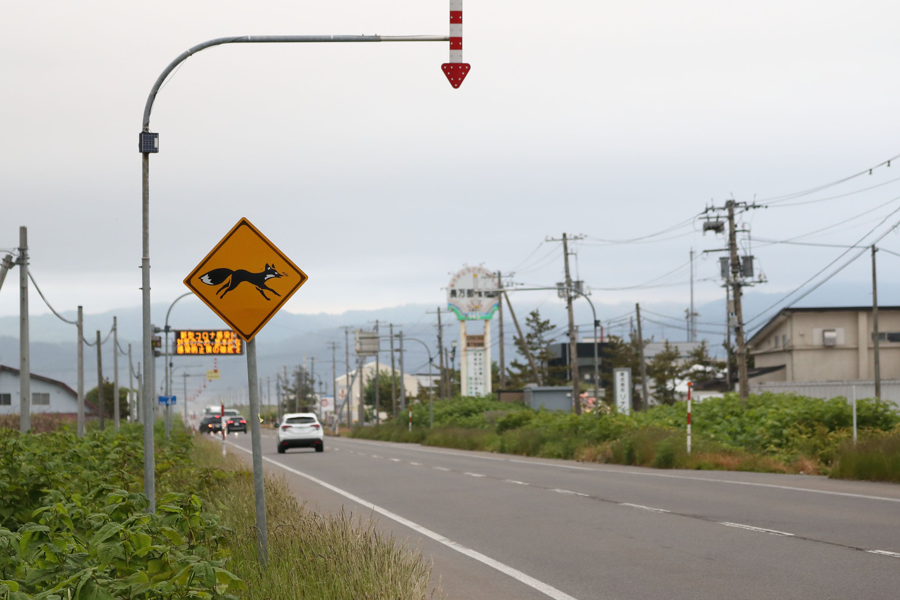 北海道で見かけたキツネの標識