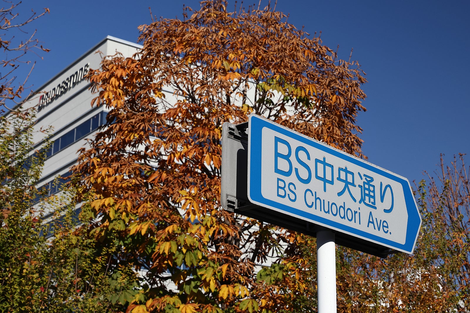 「BS中央通り」の案内標識