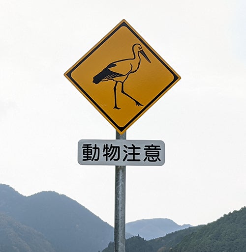 兵庫県朝来市にある「コウノトリ注意」の標識
