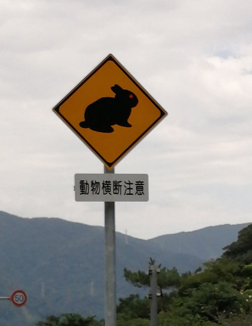 奄美大島で撮影した、野生動物飛び出し注意の標識