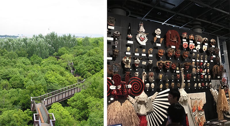 （左）森の中を巡る観察路（右）民族衣装などの展示物