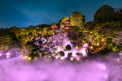 桜色にライトアップされた「夜桜雲海」のイメージ