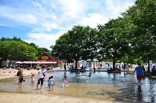 水遊び広場のジャブジャブ池