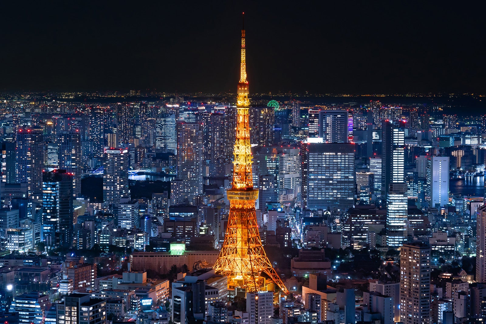 東京タワー全景