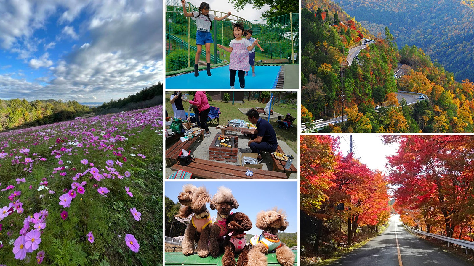 嵐山―高雄パークウェイ