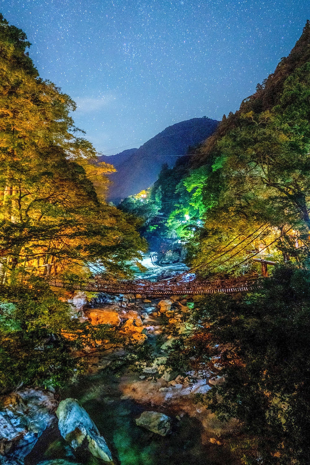 ライトアップされたかずら橋