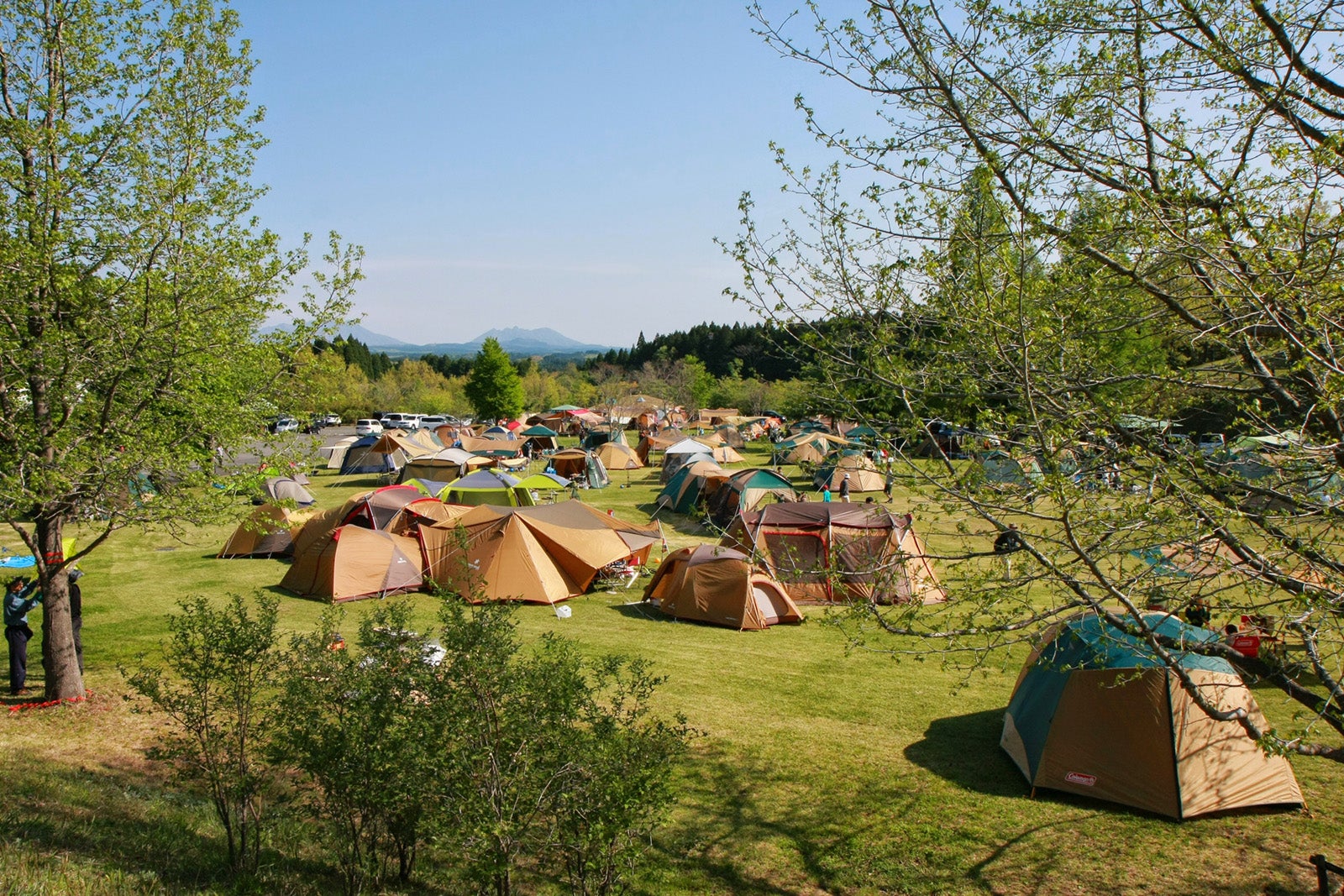 キャンプ場